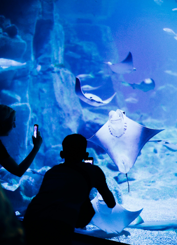 ocean education image